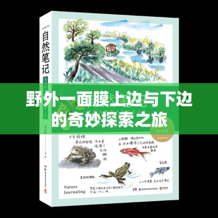 野外一面膜上边与下边的奇妙探索之旅
