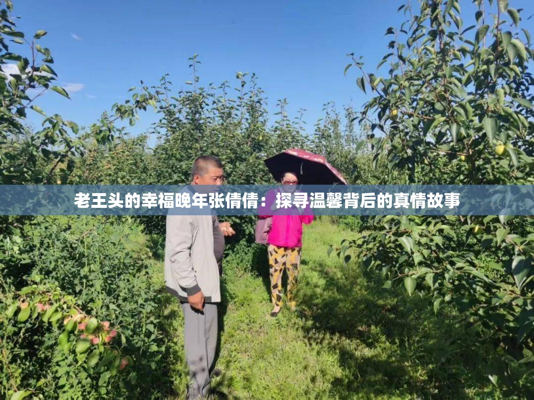 老王头的幸福晚年张倩倩：探寻温馨背后的真情故事