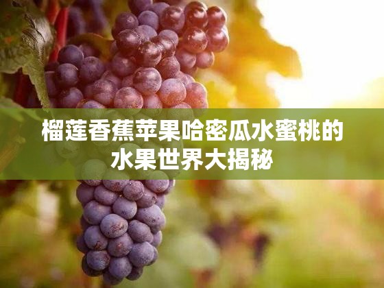 榴莲香蕉苹果哈密瓜水蜜桃的水果世界大揭秘