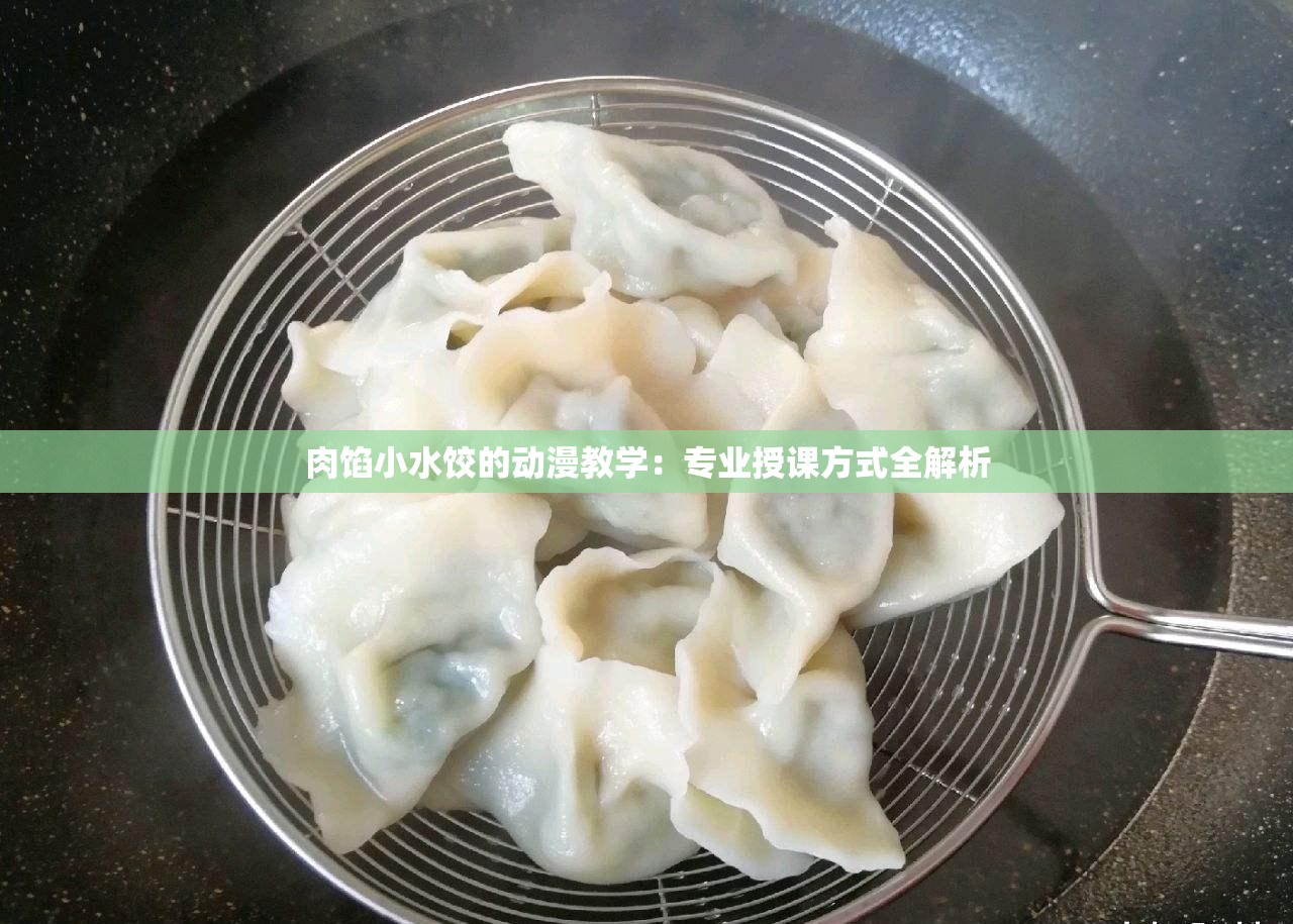 肉馅小水饺的动漫教学：专业授课方式全解析