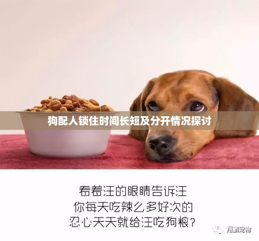 狗配人锁住时间长短及分开情况探讨