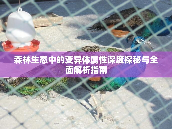 森林生态中的变异体属性深度探秘与全面解析指南