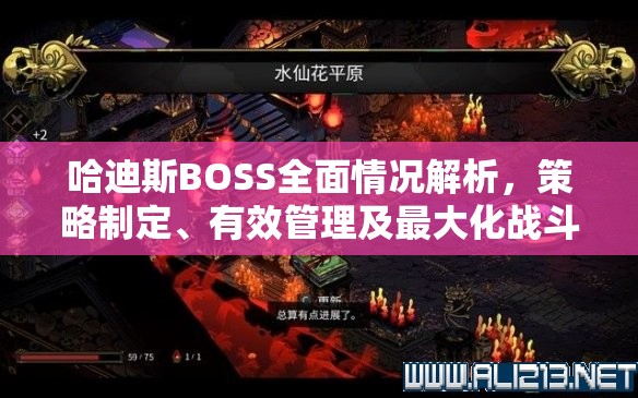 哈迪斯BOSS全面情况解析，策略制定、有效管理及最大化战斗价值探讨