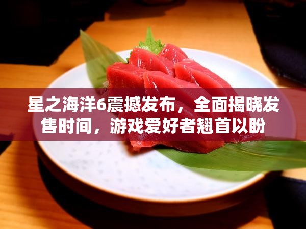 星之海洋6震撼发布，全面揭晓发售时间，游戏爱好者翘首以盼