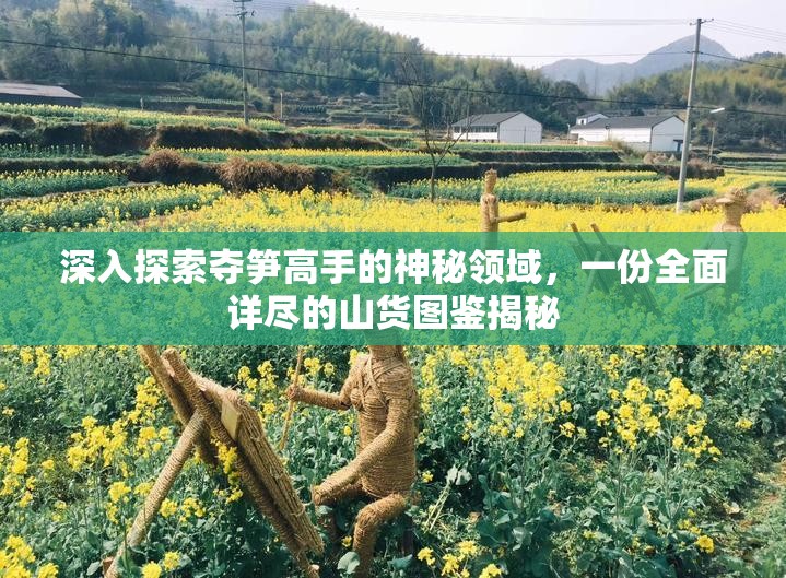 深入探索夺笋高手的神秘领域，一份全面详尽的山货图鉴揭秘