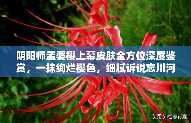 阴阳师孟婆樱上幕皮肤全方位深度鉴赏，一抹绚烂樱色，细腻诉说忘川河畔新篇章