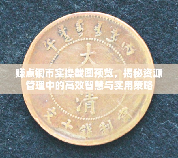 赚点铜币实操截图预览，揭秘资源管理中的高效智慧与实用策略