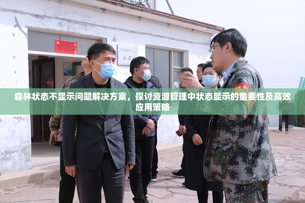 森林状态不显示问题解决方案，探讨资源管理中状态显示的重要性及高效应用策略