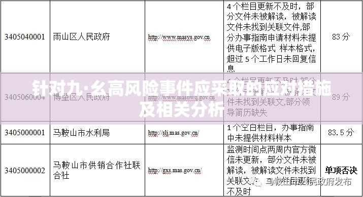 针对九·幺高风险事件应采取的应对措施及相关分析
