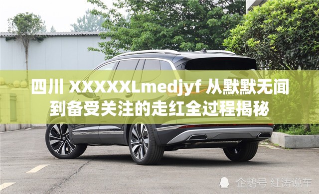四川 XXXXXLmedjyf 从默默无闻到备受关注的走红全过程揭秘