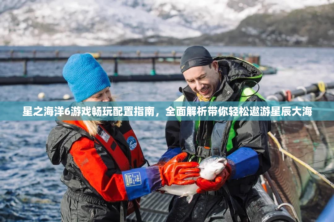 星之海洋6游戏畅玩配置指南，全面解析带你轻松遨游星辰大海
