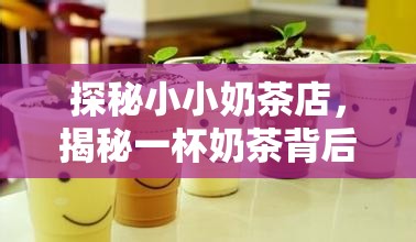 探秘小小奶茶店，揭秘一杯奶茶背后隐藏的甜蜜制作故事