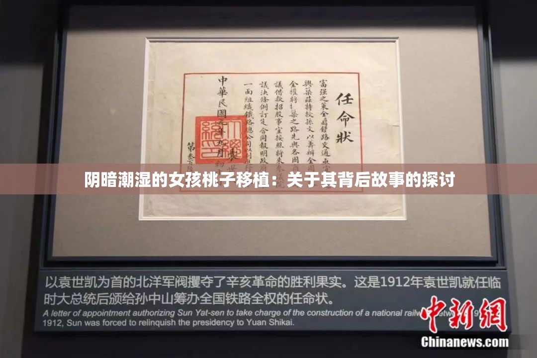 阴暗潮湿的女孩桃子移植：关于其背后故事的探讨