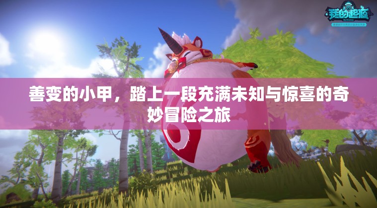 善变的小甲，踏上一段充满未知与惊喜的奇妙冒险之旅