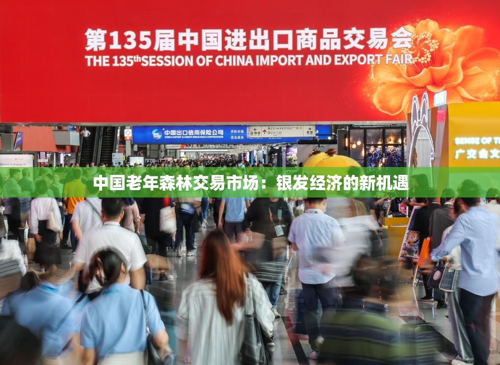 中国老年森林交易市场：银发经济的新机遇