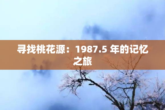 寻找桃花源：1987.5 年的记忆之旅