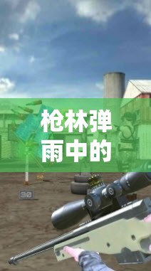枪林弹雨中的射击盛宴，全面深度探索枪手世界的精彩与奥秘