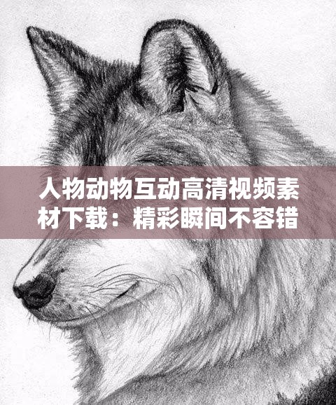 人物动物互动高清视频素材下载：精彩瞬间不容错过