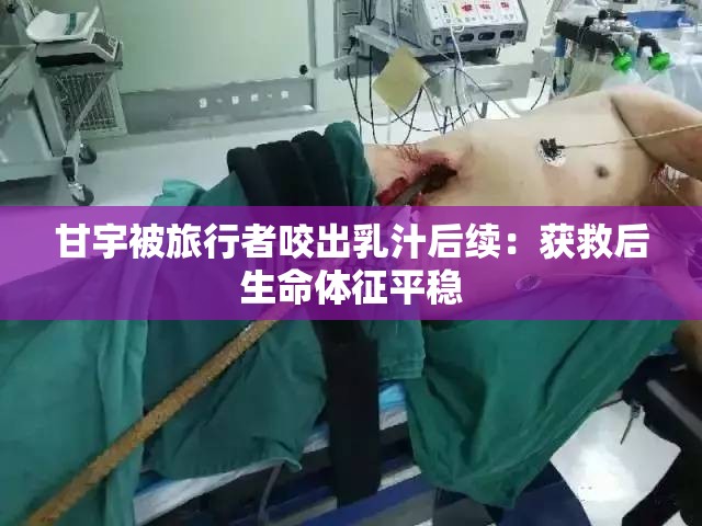 甘宇被旅行者咬出乳汁后续：获救后生命体征平稳