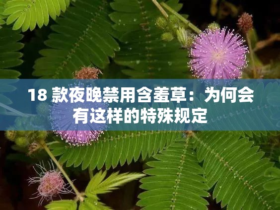 18 款夜晚禁用含羞草：为何会有这样的特殊规定