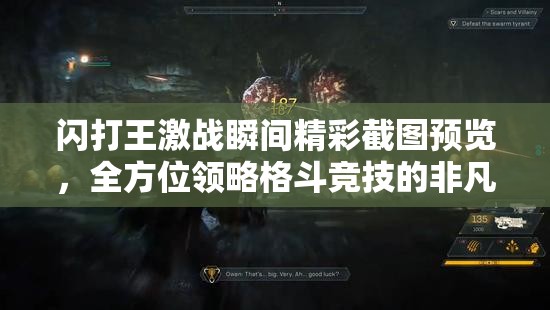 闪打王激战瞬间精彩截图预览，全方位领略格斗竞技的非凡魅力