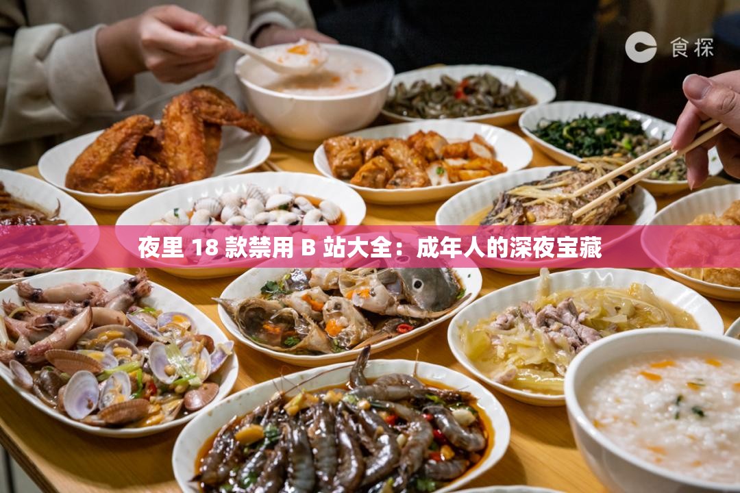 夜里 18 款禁用 B 站大全：成年人的深夜宝藏