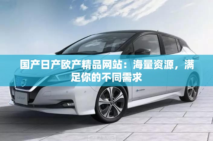 国产日产欧产精品网站：海量资源，满足你的不同需求