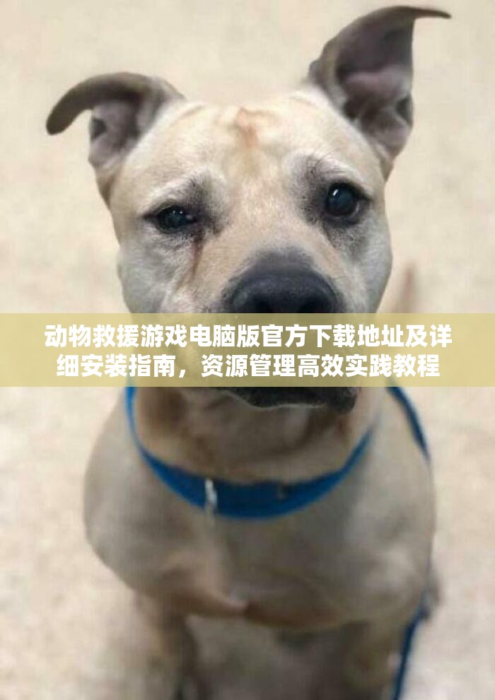 动物救援游戏电脑版官方下载地址及详细安装指南，资源管理高效实践教程