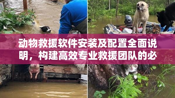 动物救援软件安装及配置全面说明，构建高效专业救援团队的必备操作指南