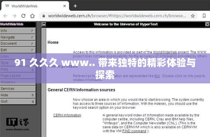 91 久久久 www.. 带来独特的精彩体验与探索