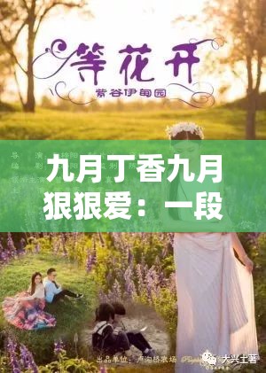 九月丁香九月狠狠爱：一段浪漫的爱情故事