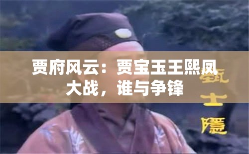 贾府风云：贾宝玉王熙凤大战，谁与争锋