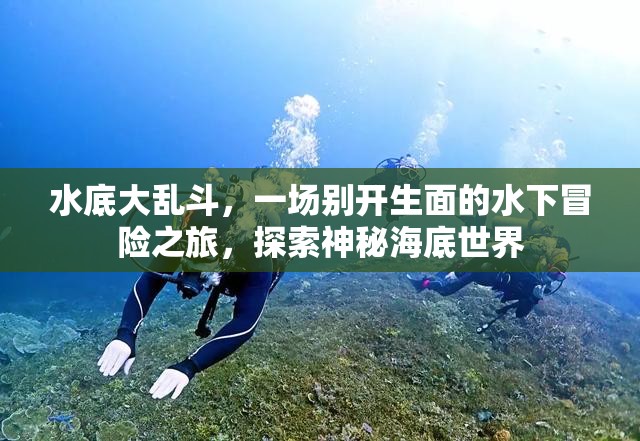 水底大乱斗，一场别开生面的水下冒险之旅，探索神秘海底世界