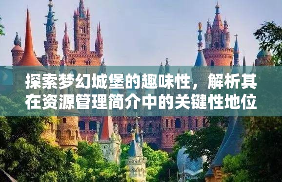 探索梦幻城堡的趣味性，解析其在资源管理简介中的关键性地位