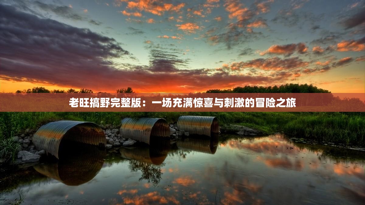 老旺搞野完整版：一场充满惊喜与刺激的冒险之旅
