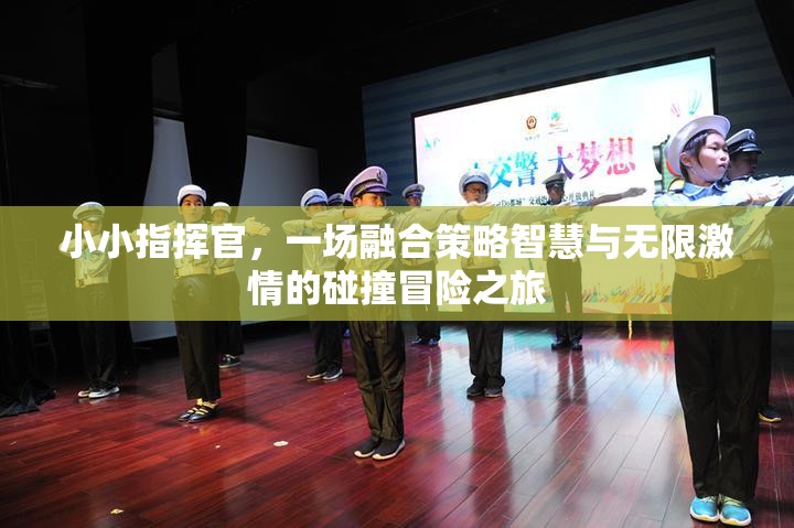 小小指挥官，一场融合策略智慧与无限激情的碰撞冒险之旅