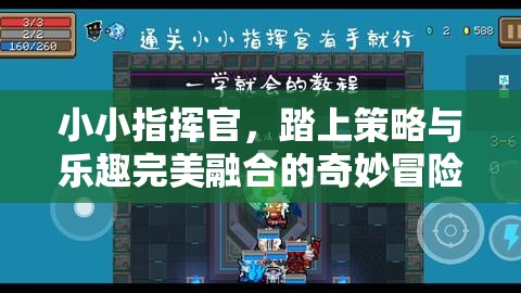 小小指挥官，踏上策略与乐趣完美融合的奇妙冒险之旅