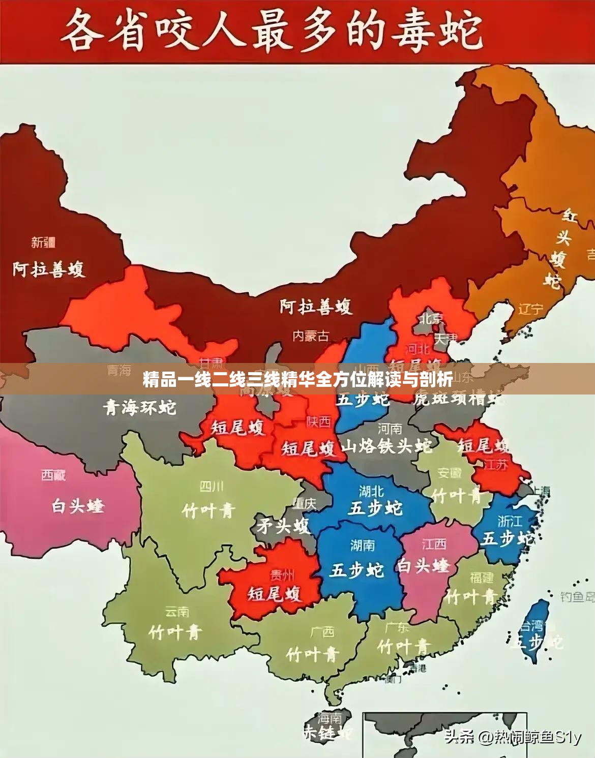 精品一线二线三线精华全方位解读与剖析