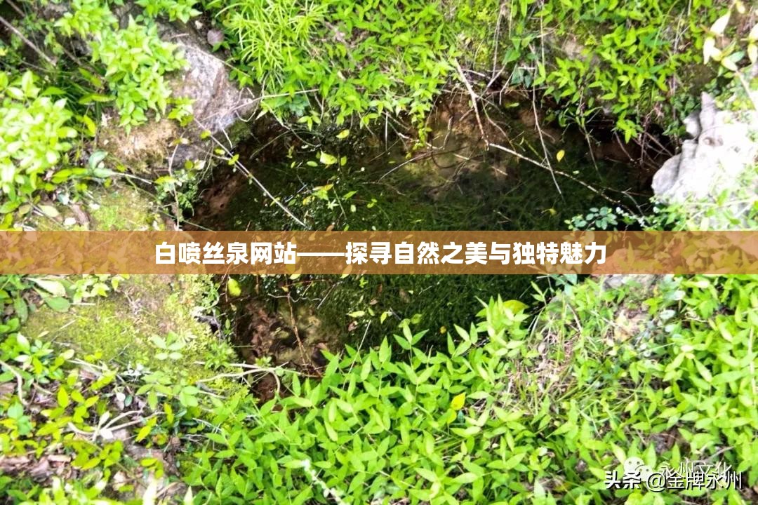 白喷丝泉网站——探寻自然之美与独特魅力