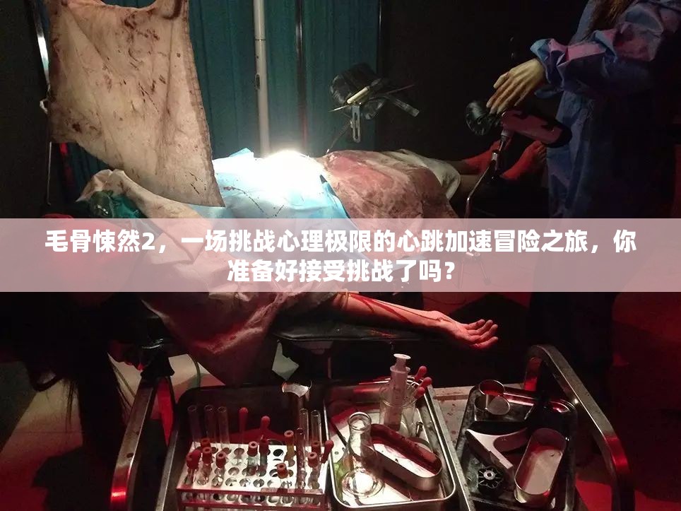 毛骨悚然2，一场挑战心理极限的心跳加速冒险之旅，你准备好接受挑战了吗？