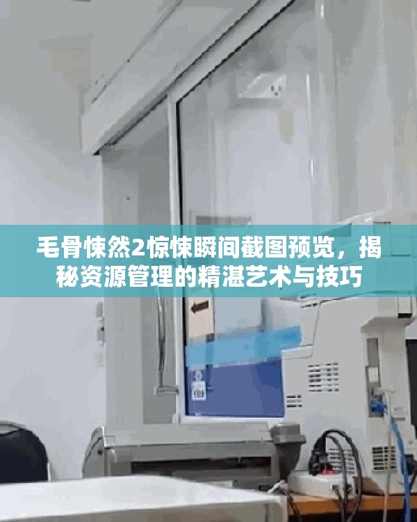 毛骨悚然2惊悚瞬间截图预览，揭秘资源管理的精湛艺术与技巧