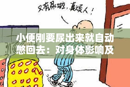 小便刚要尿出来就自动憋回去：对身体影响及应对方法