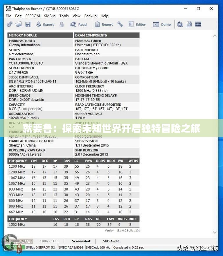 就要鲁：探索未知世界开启独特冒险之旅