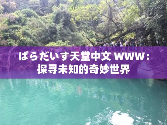 ぱらだいす天堂中文 WWW：探寻未知的奇妙世界