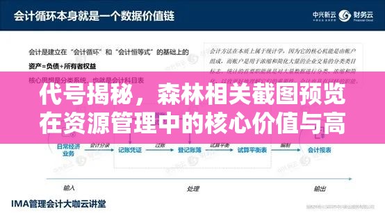 代号揭秘，森林相关截图预览在资源管理中的核心价值与高效运用策略