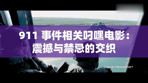 911 事件相关叼嘿电影：震撼与禁忌的交织