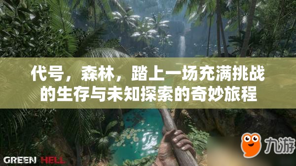 代号，森林，踏上一场充满挑战的生存与未知探索的奇妙旅程
