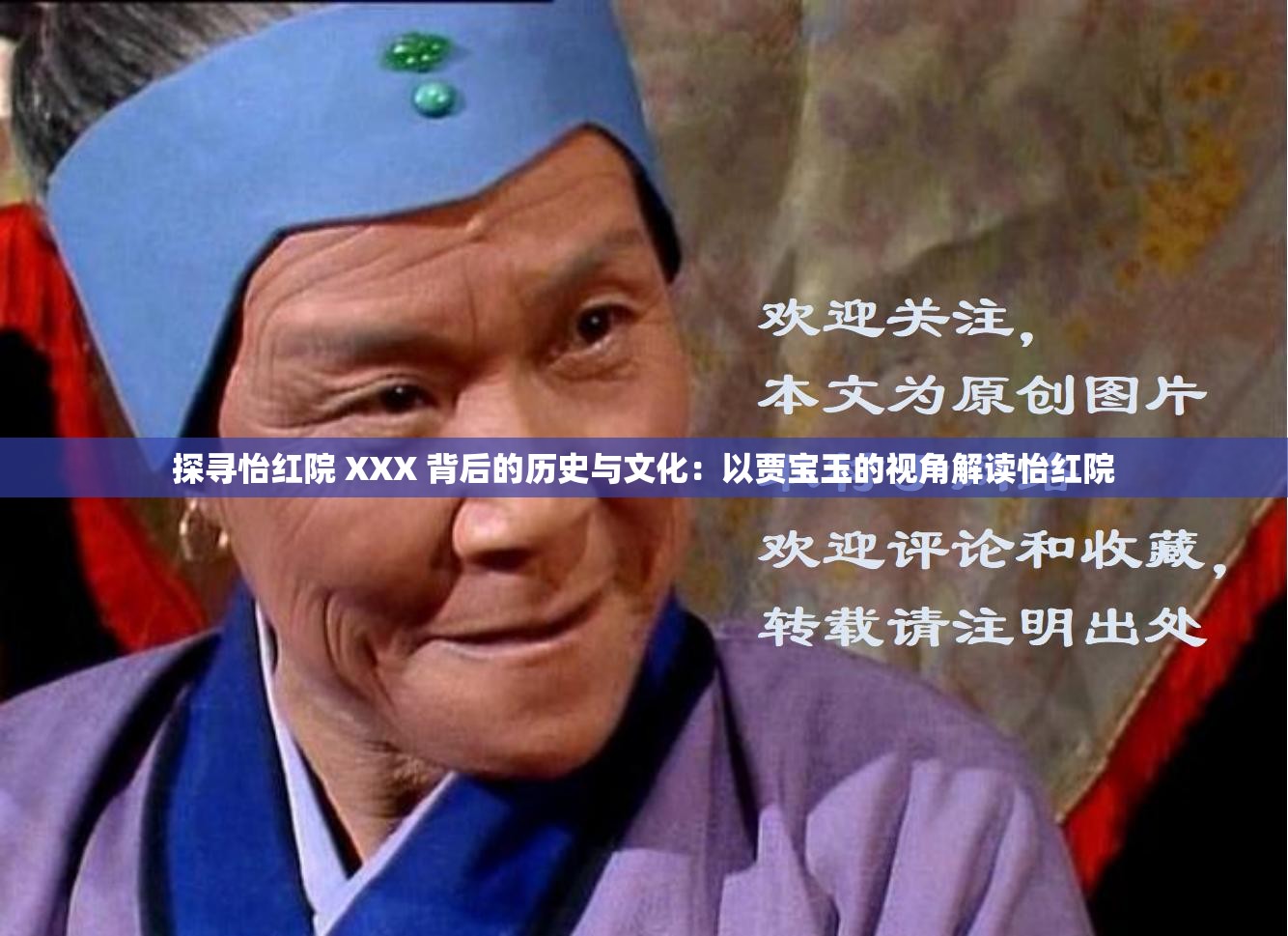 探寻怡红院 XXX 背后的历史与文化：以贾宝玉的视角解读怡红院
