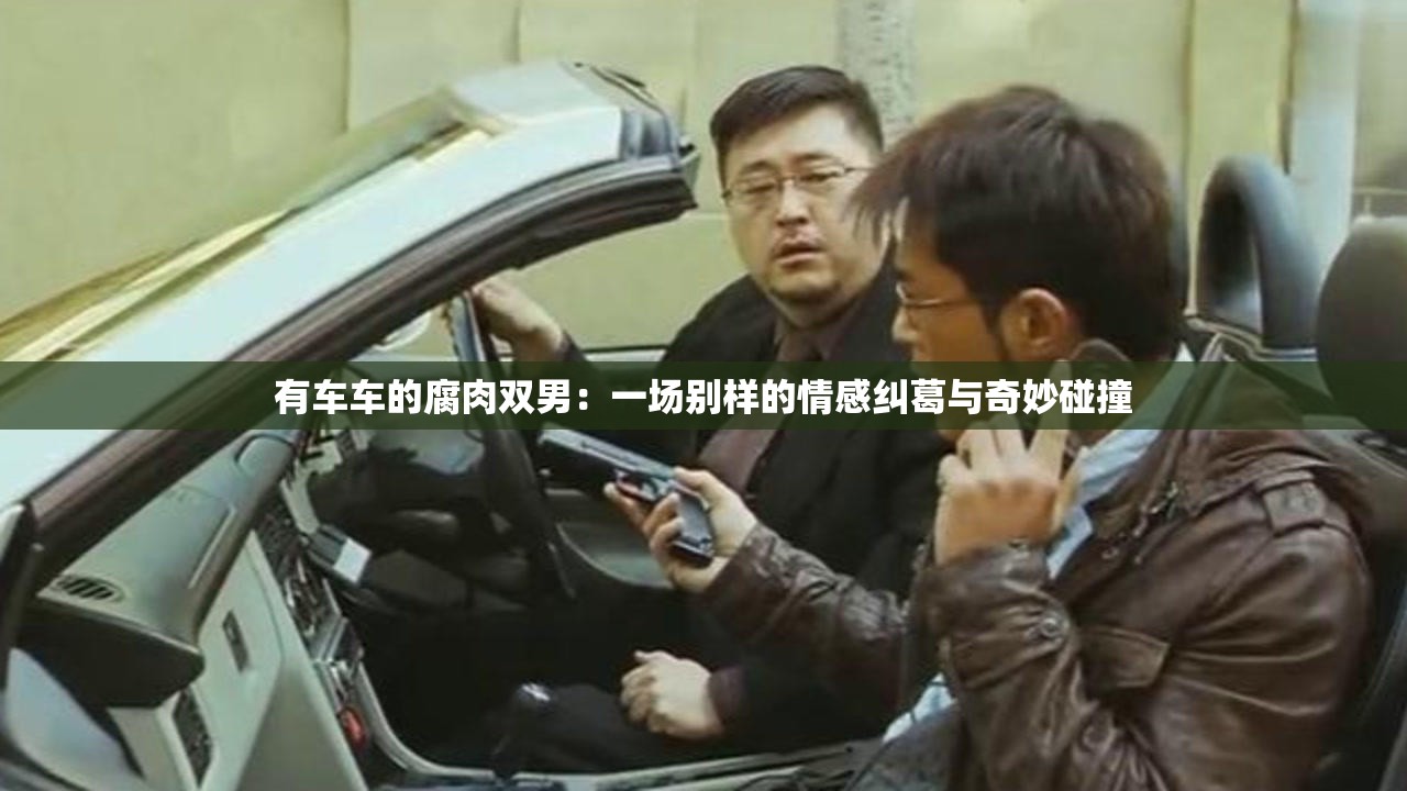 有车车的腐肉双男：一场别样的情感纠葛与奇妙碰撞