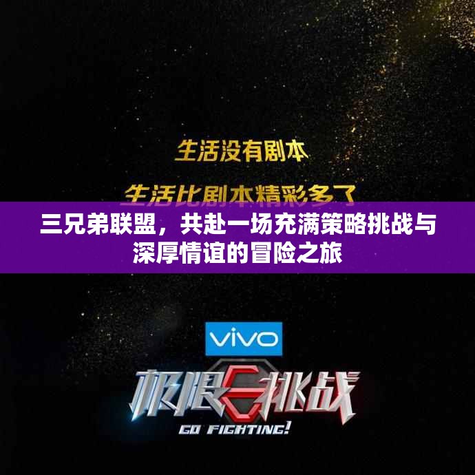 三兄弟联盟，共赴一场充满策略挑战与深厚情谊的冒险之旅
